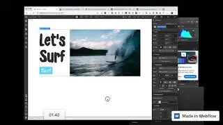 Webflow 3 Minute Challenge - Surf's Up