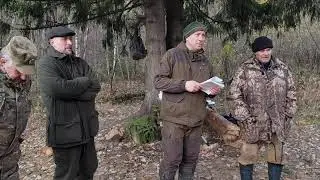 76 Московские областные состязания лаек по белке(день второй)