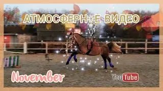 Атмосферное видео/ноябрь