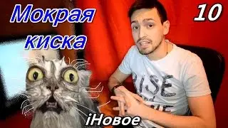 КОТИКИ ИЛИ МОКРАЯ КИСКА  Обзорки № 10