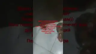 https://t.me/krya18x
