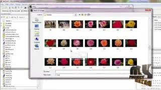 Final Year Projects | Content-based image retrieval approach for biometric security