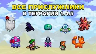 All 24 Minion Types in Terraria 1.4.5