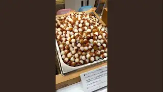 Snacks I Brought From Japan