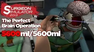 Surgeon Simulator 2013: Perfect Brain Surgery (5600/5600ml)