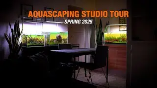 AQUARIUM INSPIRATION | All My Aquascapes Spring 2025