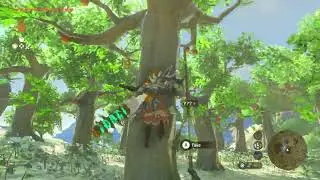 How to find Gold Apples in ABUNDANCE in Zelda: Tears of the Kingdom