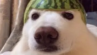 heknniffirg
