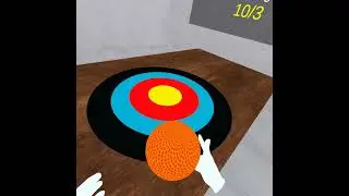 Ball Pick and Put on Target VR Game Oculus Quest 2 for older peoples