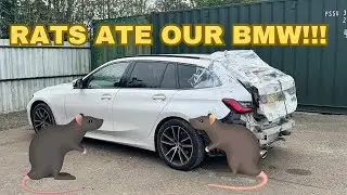 DID WE WASTE £10K BUYING A CAR AT COPART SALVAGE AUCTION? PT2