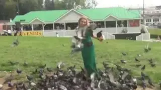 Девушка кормит голубей.