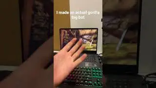 I made an actual gorilla tag bot 