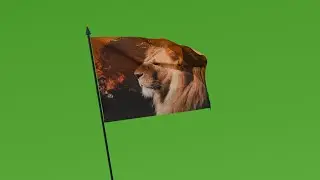 bandeira Leão  da tribo de Juda - green screen