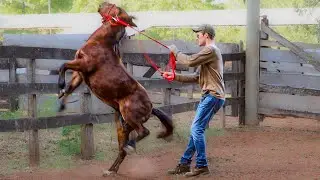 Day 2 Training A DISRESPECTFUL Pony! (He’s STILL CRAZY!)| Foal Training [EP3]
