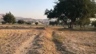 2024 New year first Morning village Vlog