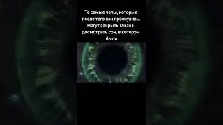 29 октября 2023 г.