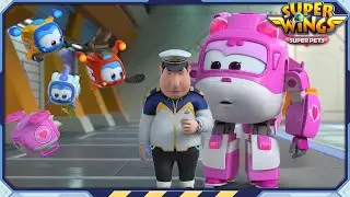 [SUPERWINGS5 HL] Happy Mother's Day and more | Superwings | Highlight S5 EP21~30