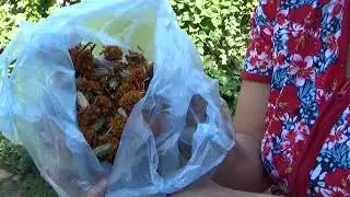 Пришла первая посылка! Девчонки приготовили салат селёдка под шубой!!!