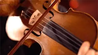 Fairmont Classic — Vivaldi