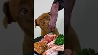 Duck head 