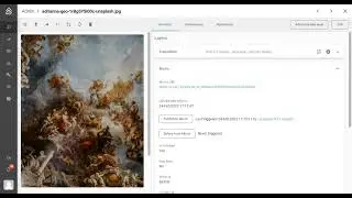 Picturepark: Micr.io Connector (IIIF, Deep Zoom, Ultra Resolution)
