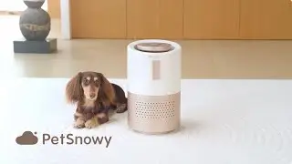 Meet the PetSnowy Air Purifier