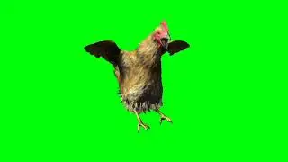 Hen 3