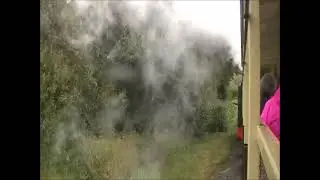 The Vale of Rheidol Railway (Aberystwyth to Devil's Bridge)