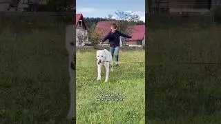 Открываем ящик Пандоры 