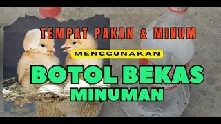 Tempat Pakan & Minum Ayam Murah Meriah
