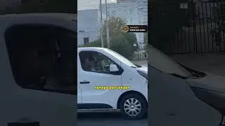 Новые ДИВАННЫЕ войска | новости сегодня | #shorts