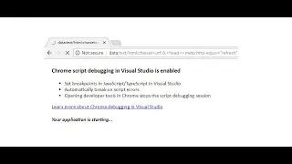 Disabled Chrome Script Debugging In Visual Studio
