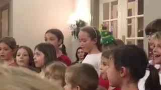 Riempi casa di Agrifoglio   primi piani!