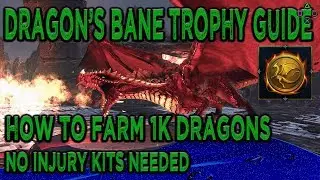 Neverwinter Dragon Farming Guide - Dragon's Bane Trophy Guide