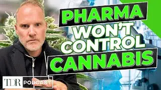 Why Big Pharma Isn’t Taking Over Cannabis | TDR Cannabis in 5