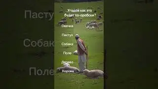 Угадай как это будет по-арабски?Сколько слов назвали?)