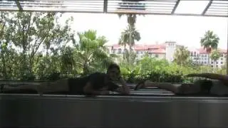 New Ride at Universal Studios