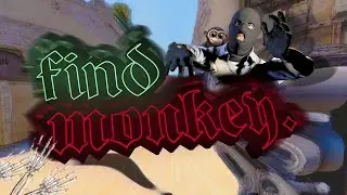 find monkey (allah is bog)