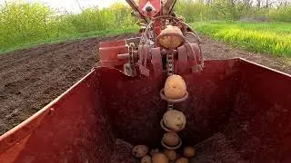 Висадка картоплі за 3 години. 2 частина. Ось так!
