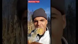 Откусил камыш