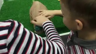 Робополис 2018