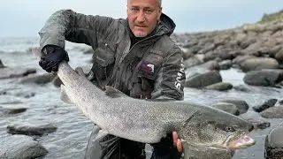 Кунджа и Таймень .Рыбалка в море ,май 2024