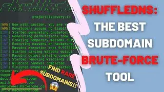 How to Install and Use ShuffleDNS To Brute Force Subdomains