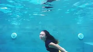 A true mermaid entertains us
