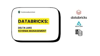 Databricks: Schema Management