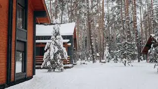 Winter Cozy Snowfall || Beautiful Winter Morning Snow covered Trees and House || 4k HD Drone Footage