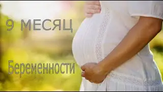 ДЕВЯТЫЙ МЕСЯЦ БЕРЕМЕННОСТИ