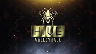 HIVE Volleyball LOGO