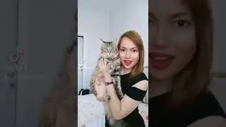 Dancing With The Kitties Part 2
