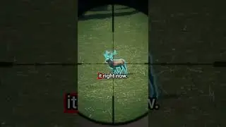 How Much Do You Get Paid To Shoot A Elk?? 